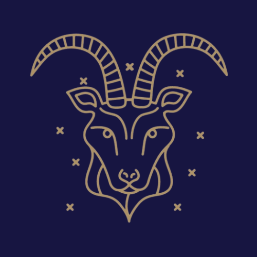 Capricorn the Sea Goat